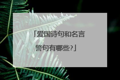 爱国诗句和名言警句有哪些?