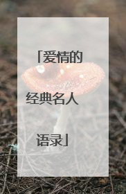 爱情的经典名人语录