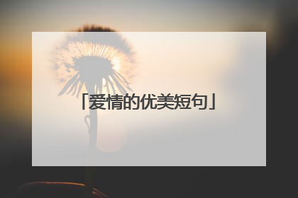 爱情的优美短句