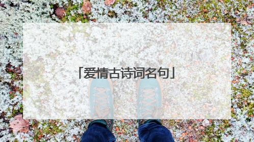 爱情古诗词名句