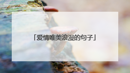 爱情唯美浪漫的句子