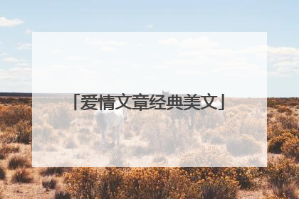 爱情文章经典美文