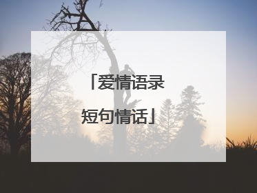 爱情语录短句情话