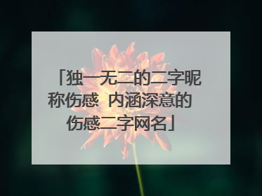 独一无二的二字昵称伤感 内涵深意的伤感二字网名