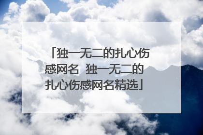 独一无二的扎心伤感网名 独一无二的扎心伤感网名精选