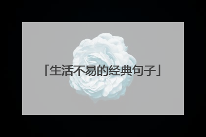 生活不易的经典句子