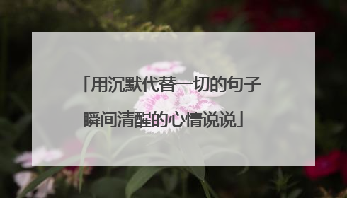 用沉默代替一切的句子瞬间清醒的心情说说