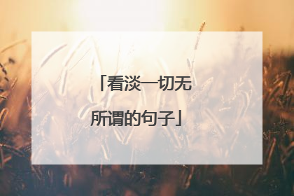 看淡一切无所谓的句子