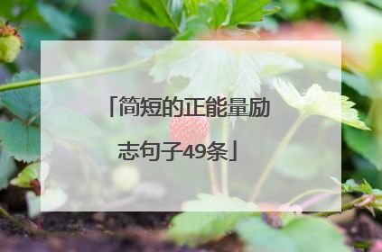 简短的正能量励志句子49条