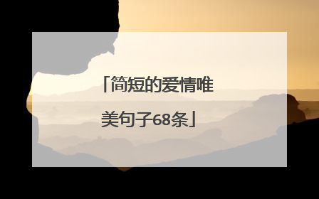 简短的爱情唯美句子68条