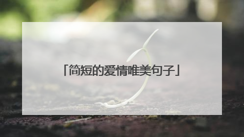 简短的爱情唯美句子