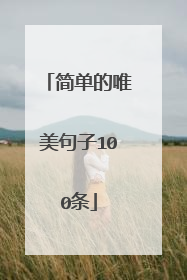 简单的唯美句子100条