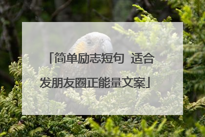 简单励志短句 适合发朋友圈正能量文案