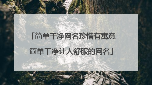 简单干净网名珍惜有寓意 简单干净让人舒服的网名