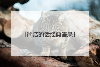 简洁的话经典语录