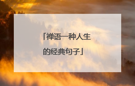 禅语一种人生的经典句子