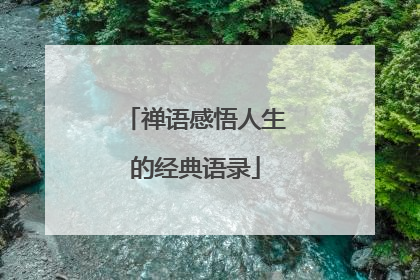 禅语感悟人生的经典语录