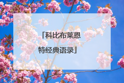 科比布莱恩特经典语录