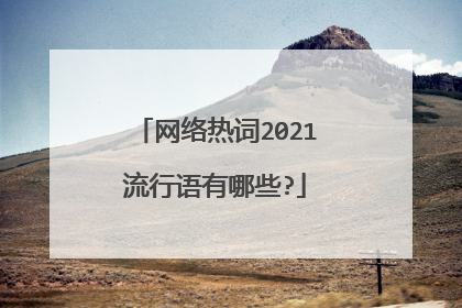 网络热词2021流行语有哪些?