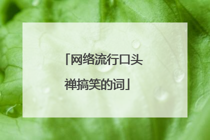 网络流行口头禅搞笑的词