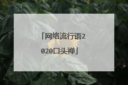 网络流行语2020口头禅