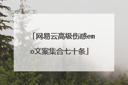 网易云高级伤感emo文案集合七十条