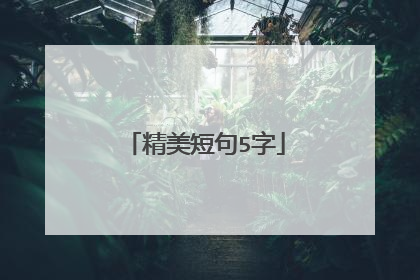 精美短句5字