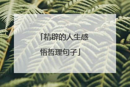 精辟的人生感悟哲理句子