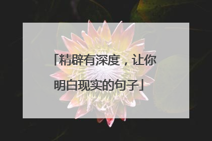 精辟有深度，让你明白现实的句子