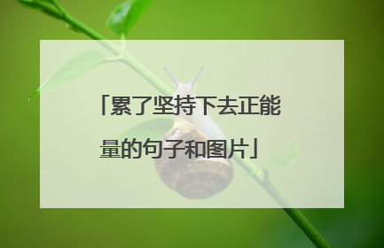 累了坚持下去正能量的句子和图片