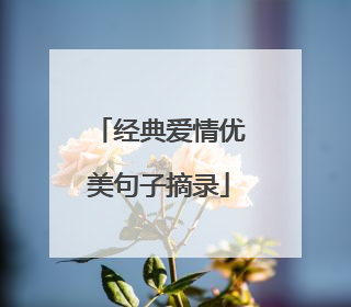 经典爱情优美句子摘录