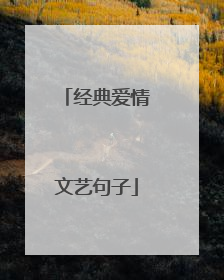 经典爱情文艺句子