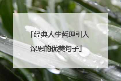 经典人生哲理引人深思的优美句子