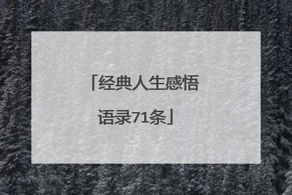 经典人生感悟语录71条