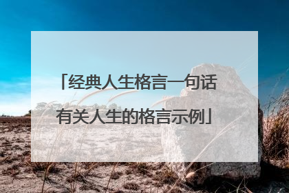 经典人生格言一句话 有关人生的格言示例