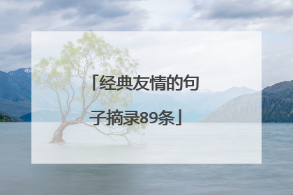 经典友情的句子摘录89条