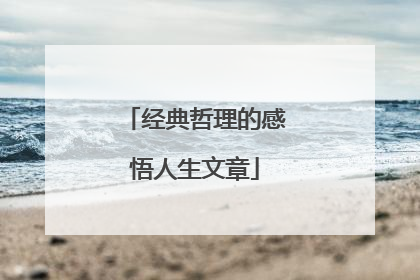 经典哲理的感悟人生文章