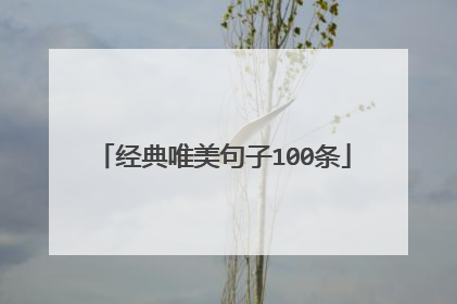 经典唯美句子100条