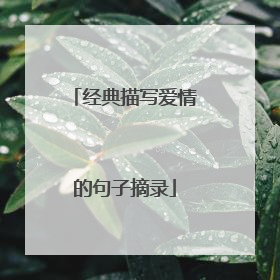 经典描写爱情的句子摘录