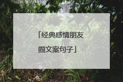 经典感情朋友圈文案句子