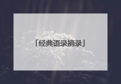 经典语录摘录