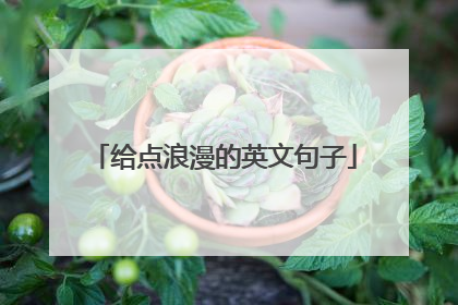 给点浪漫的英文句子