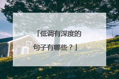 低调有深度的句子有哪些？