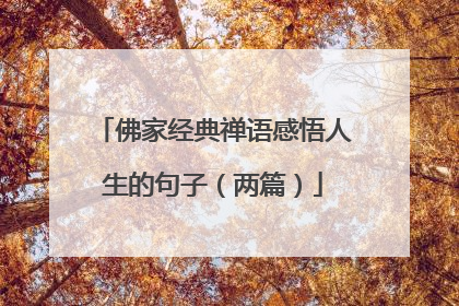 佛家经典禅语感悟人生的句子（两篇）