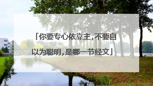 你要专心依靠主,不要自以为聪明,是哪一节经文