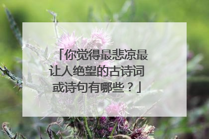 你觉得最悲凉最让人绝望的古诗词或诗句有哪些？