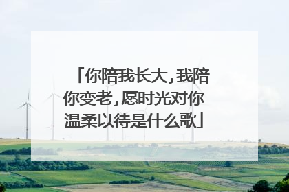 你陪我长大,我陪你变老,愿时光对你温柔以待是什么歌