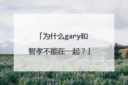 为什么gary和智孝不能在一起？