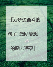 为梦想奋斗的句子 激励梦想的励志语录