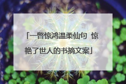 一瞥惊鸿温柔仙句 惊艳了世人的书摘文案